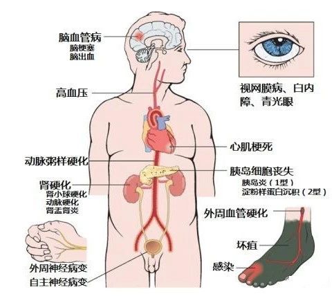 2024新澳门精准资料期期精准